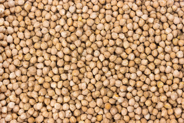 Chickpeas background or texture
