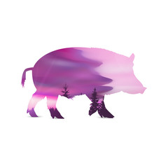 Silhouette of boar with abstract evening sky. Pink piggy.