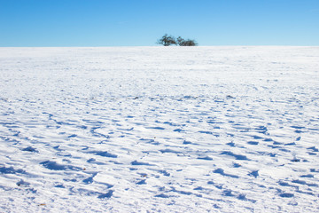 Winterlandschaft verschneit