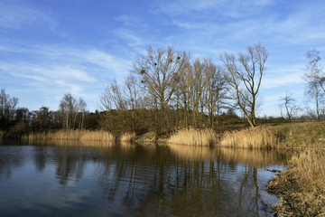 Fototapeta na wymiar Winterlicher See mit blauen Himmel und Wolken, Wintry lake with blue sky and clouds