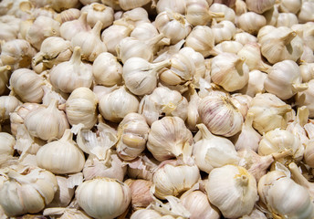 Garlic on the counter on the market