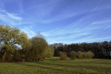 Fototapeta na wymiar Laendliche Gegend mit Baeumen und Bueschen, Rural area with trees and bushes