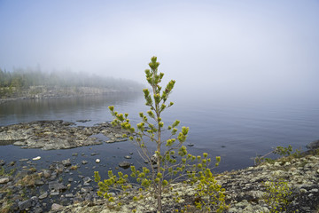 A foggy day on the shore of Lake Ladoga. Karelia, Russia.