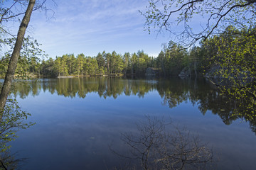 Fototapeta na wymiar Small forest lake in Karelia, Russia.