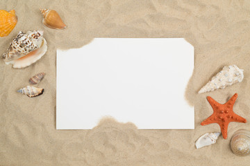 Seashells on sand with white paper in center