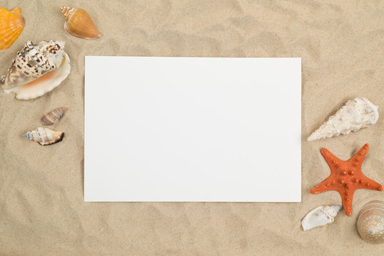 Seashells on sand with white paper in center