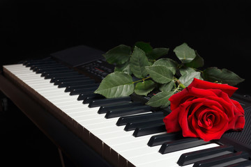 Red rose on the keys of the electronic synthesizer on a black background