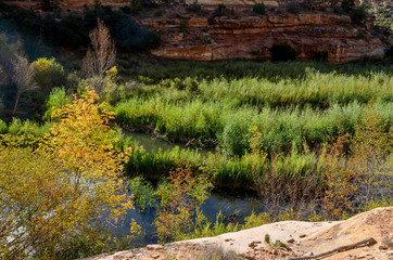 beaver ponds on Calf Creek at the bottom of Calf Creek Canyon 
Grand Staircase - Escalante National Monument, Garfield county, Utah
