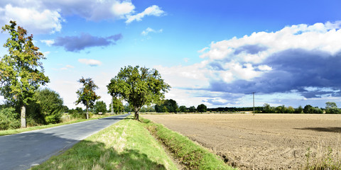 Münsterland - Albersloh
