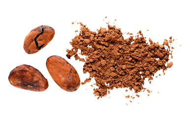 cocoa beans cocoa powder isolated on white