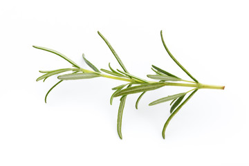 Obraz premium Rosemary isolated on white background, Top view.