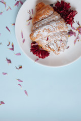Freshly baked croissant on a white plate