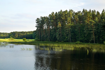 Fototapeta na wymiar Echo lake near Zwierzyniec. Poland