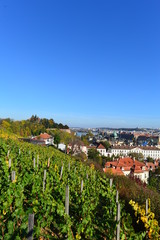 Fototapeta na wymiar Blick von der Prager Burg auf Prager Kleinseite