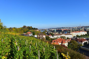 Fototapeta na wymiar Blick von der Prager Burg auf Prager Kleinseite