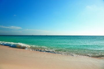 Fototapeta na wymiar Amazing beauty Caribbean sea beach. Aruba island. Beautiful nature background