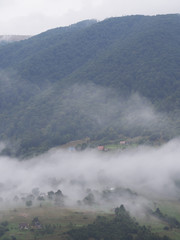 Fototapeta na wymiar Fog at the village in the carpatian mountains