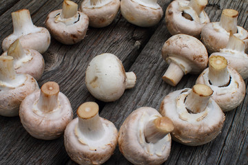 Mushrooms - Lunch raw material