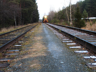 the train is going along the forest