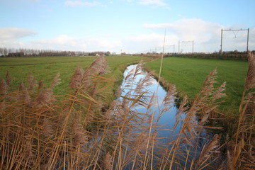 Obraz premium Ditch in the meadows of the Zuidplaspolder, Moordrecht the Netherlands