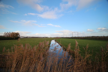 Ditch in the meadows of the Zuidplaspolder, Moordrecht the Netherlands