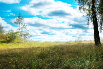 Fototapeta premium Beautiful landscape