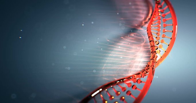 dna strand structure seamless loopable animation  4k UHD