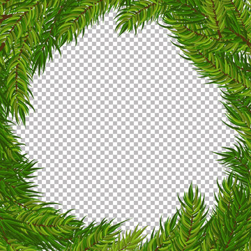 Christmas vector tree decorative frame with transparent background. Realistic pine branches illustration