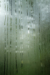 The  misted and wet glass of a greenhause