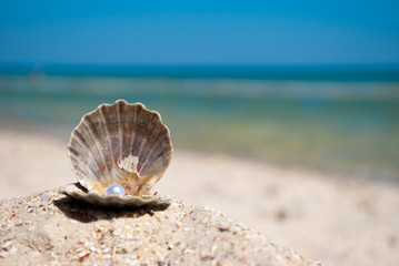 beautiful open gray seashell with white gem lies on yellow sand on a background of blue sea and a...