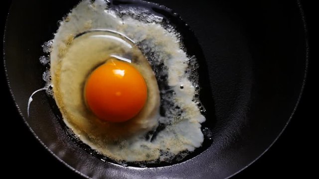 Egg cooks on frying pan