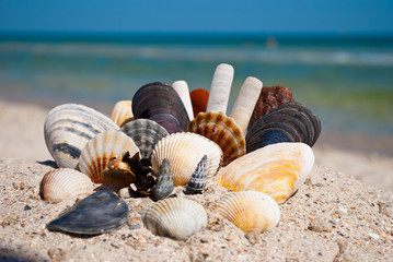 group of a set of different sea shells and stones lies on a yellow sand on a background of blue sea and a white wave blue sky summer vacation vacation summer day heat beach beach