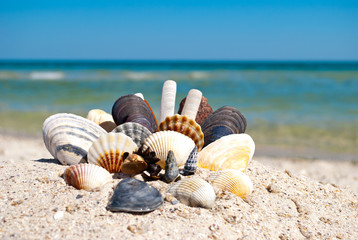 group of a set of different sea shells and stones lies on a yellow sand on a background of blue sea and a white wave blue sky summer vacation vacation summer day heat beach beach