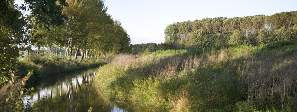 Werse Bilder Durchsuchen 183 Archivfotos, und Videos