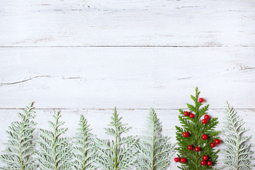 Christmas wooden background with fir-tree and red berries