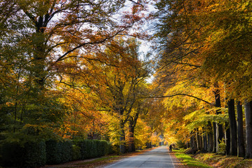 Wonderful autumn colors 