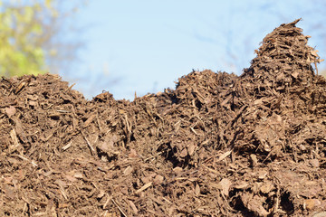 Rindenmulch vor blauem Hintergrund