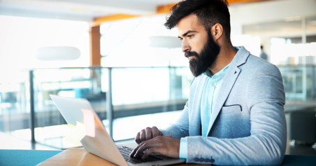 Professional handsome businessman using laptop at workplace