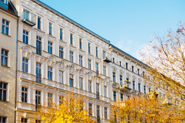 Fototapeta premium beautiful white buildings in a row with orange trees