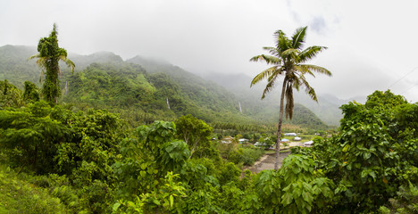 palm trees samoa island