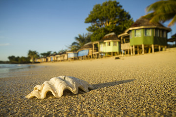 Samoa beach with fale bungalow sunrise © Libor