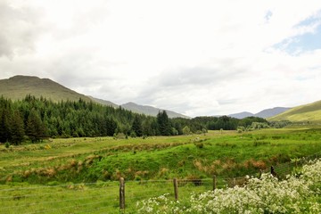 Fototapeta na wymiar scotland highlands