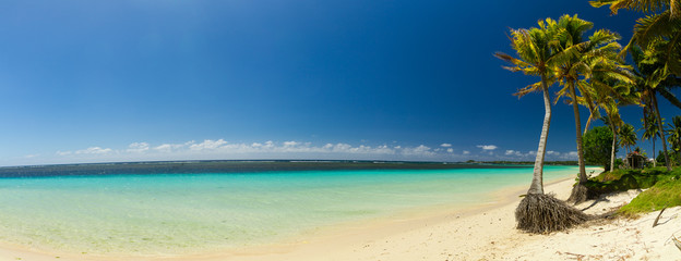 Obraz na płótnie Canvas ocean beach samoa