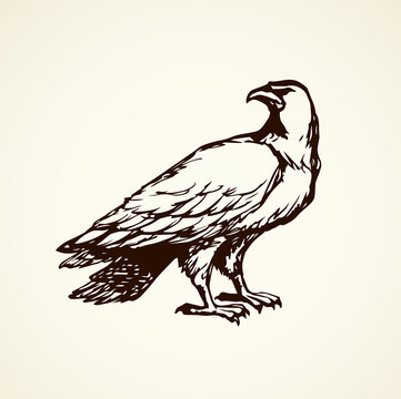 recommend clip art: Eagle. Vector drawing