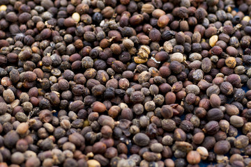 drying, pealing coffee beans