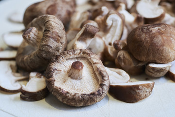 SIITAKE