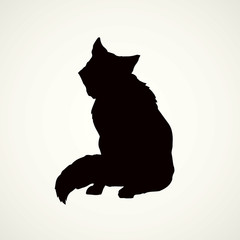 Wolf. Vector drawing