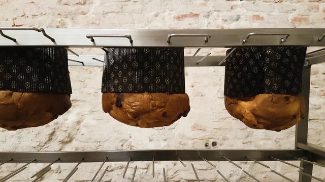 panettons preparation