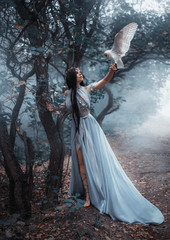 Mysterious sorceress in a beautiful blue dress. The background is a cold forest in the fog. Girl...