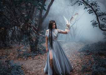 Mysterious sorceress in a beautiful blue dress. The background is a cold forest in the fog. Girl...